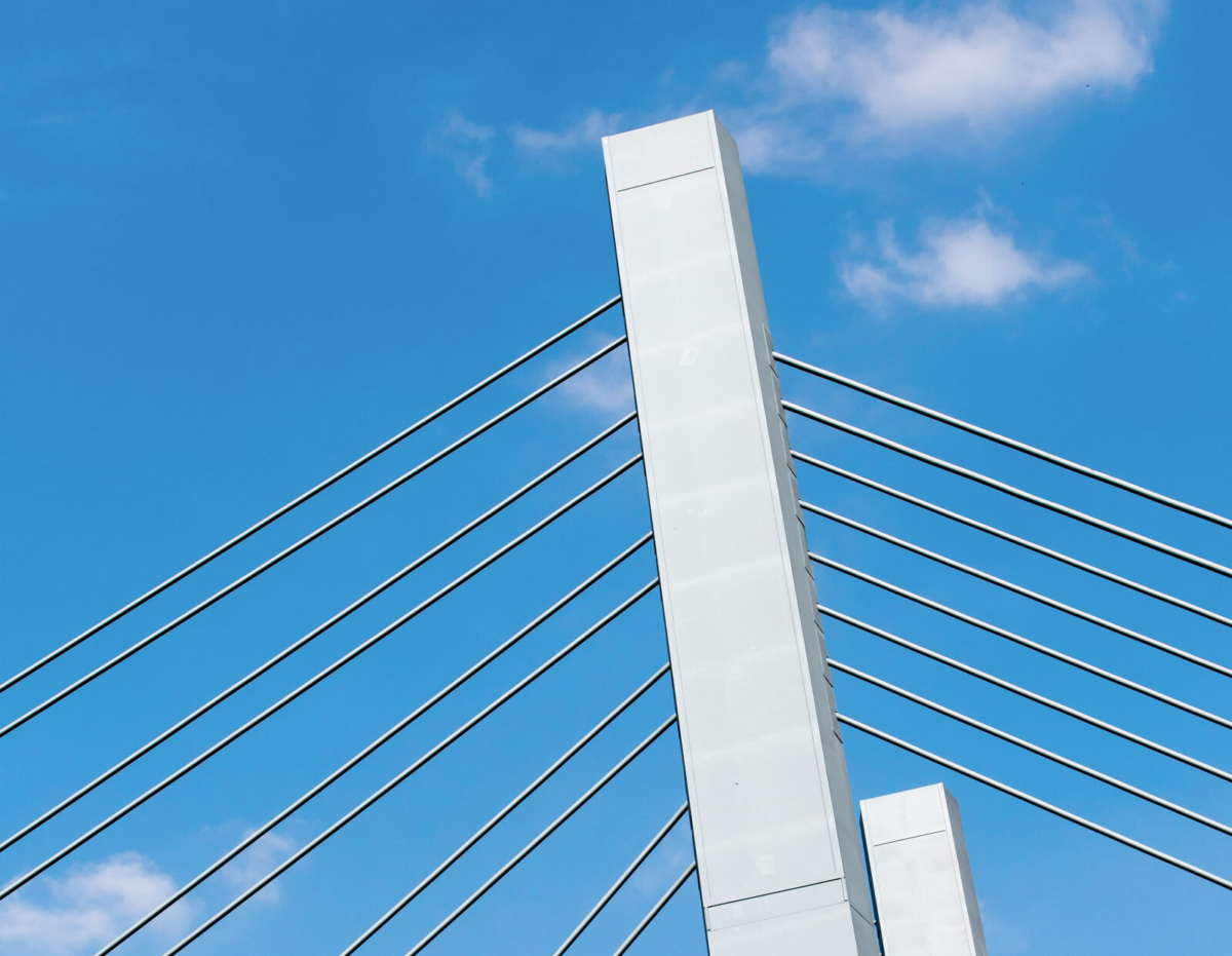 Class actions and complex litigation