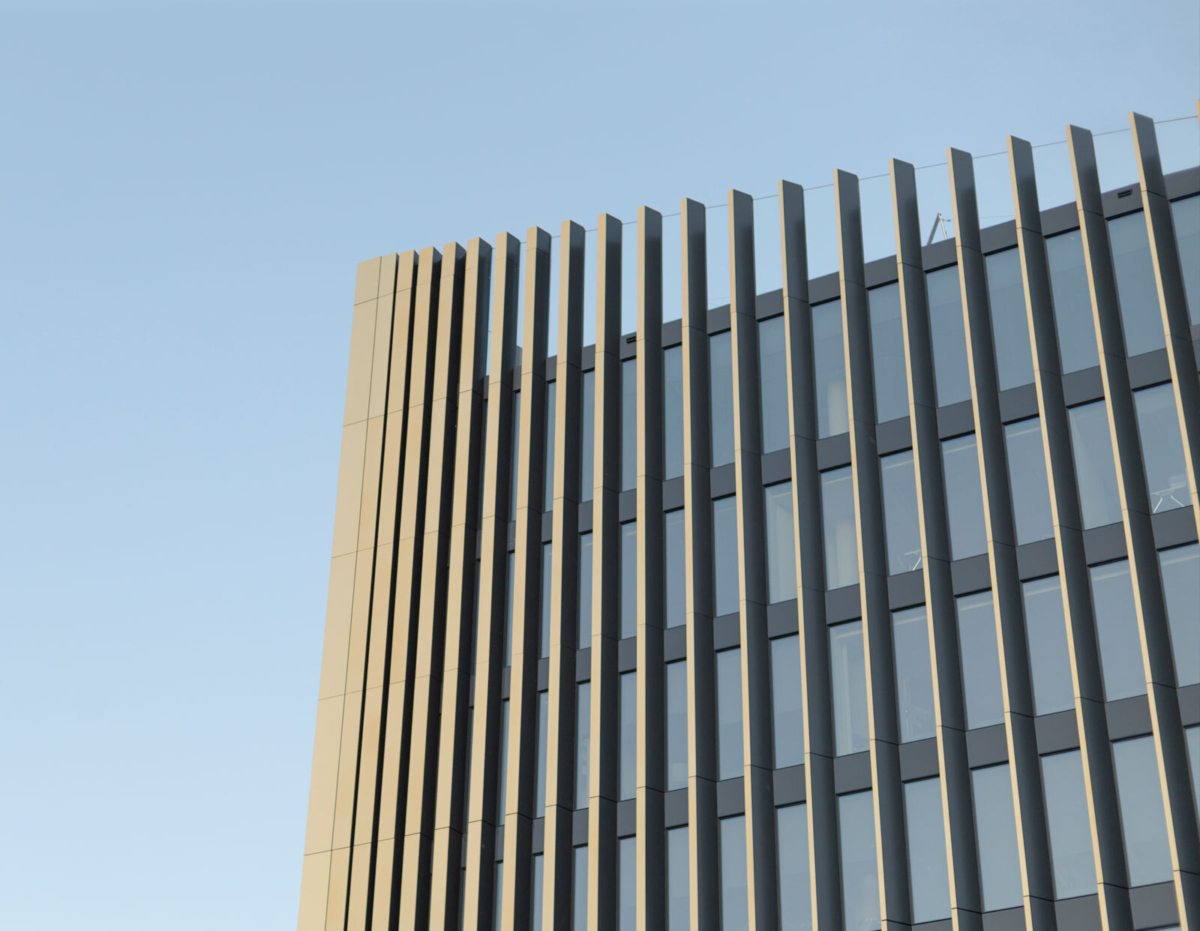 Professional liability indemnity